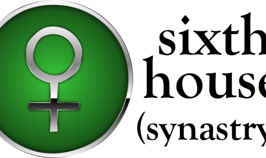 Venus in 6th House Synastry