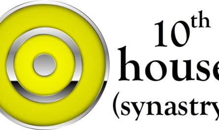 Sun in 10th House Synastry