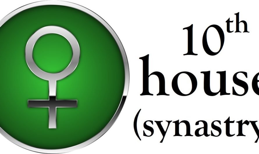 Venus in 10th House Synastry